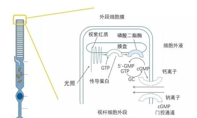 玻璃是透明的吗？可见光为什么呈现不同的颜色？光速为什么不变？