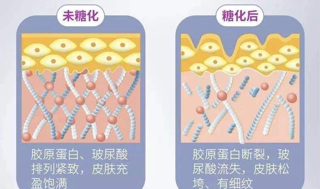 抗氧化、抗糖化、抗衰老、抗蓝光需要L-肌肽