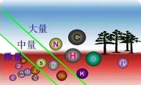 钙铁镁钾钠哪一个属于微量元素图1