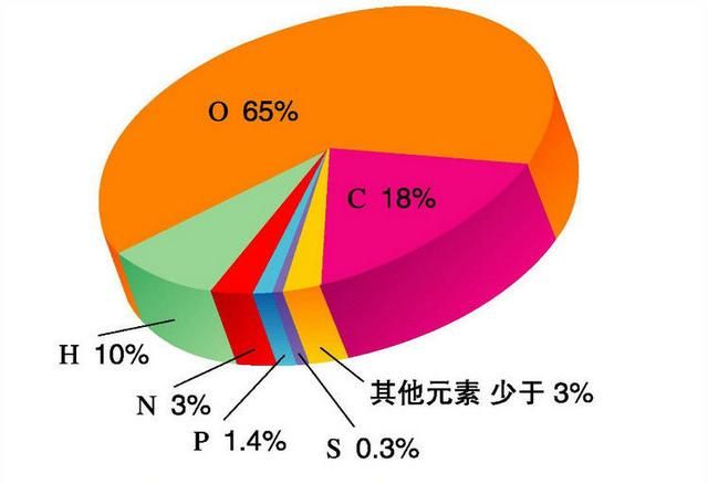 钙铁镁钾钠哪一个属于微量元素图2