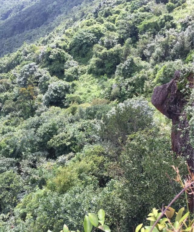 广西防城港的十万大山,真的有十万座大山吗图1