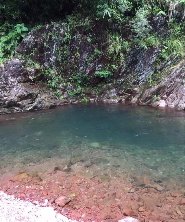 广西防城港的十万大山,真的有十万座大山吗图3