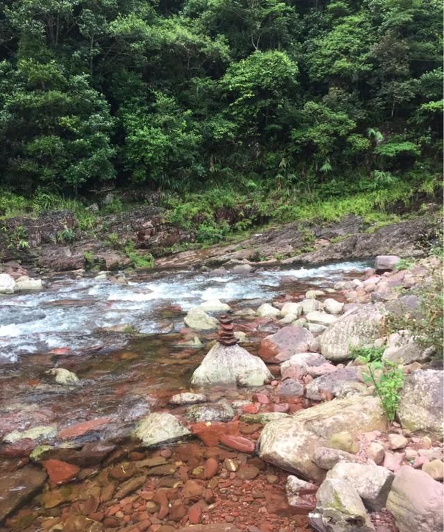 广西防城港的十万大山,真的有十万座大山吗图4