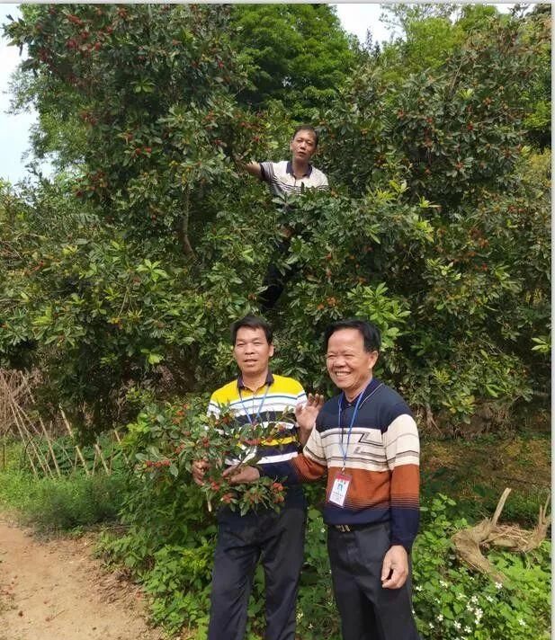 这个周末，到横县邂逅专属夏天的舌尖美味~吃喝玩乐都准备好了！