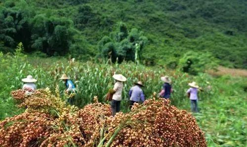 广丰美食八宗“最”！冬天，没有这些美食是不完整的！