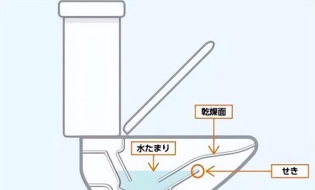 为什么家里的马桶不能把用过的手纸一起冲掉？