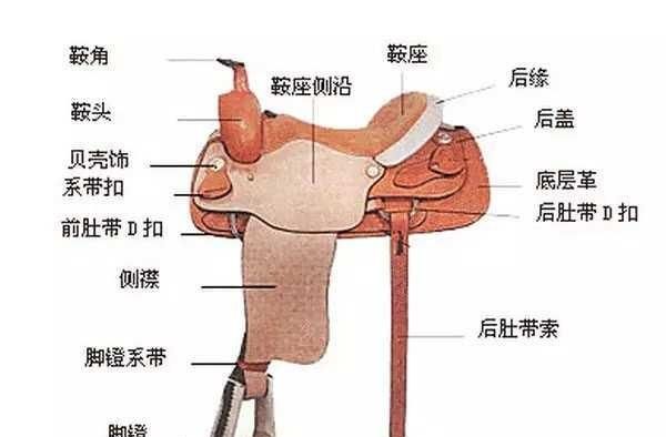 马镫和马鞍是什么时候发明的图1