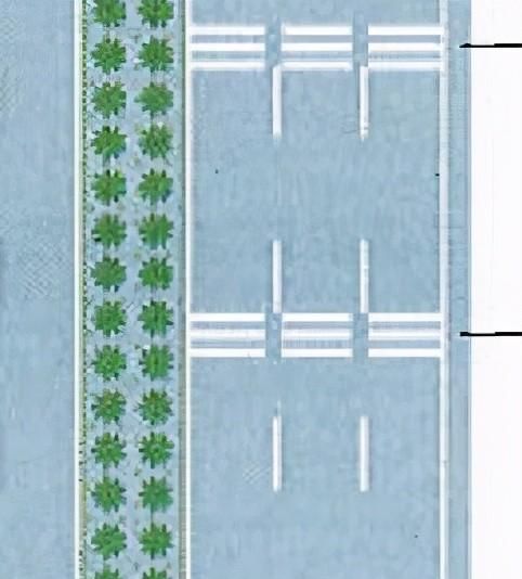 高速公路这些标识标线，老司机都不一定认得全，你知道几个？