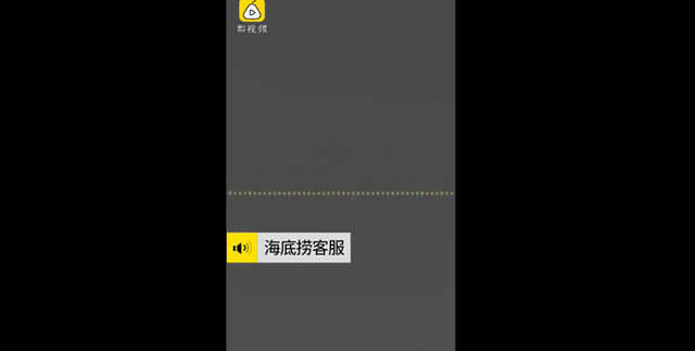 导盲犬进海底捞被拒视频：导盲犬到底该不该进入餐厅？