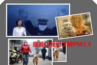 养pm是什么意思
，pm是啥意思是什么图1