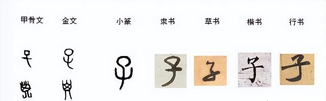 赵子龙、苏子瞻，古人取名和字的时候为何喜欢带个“子”字？