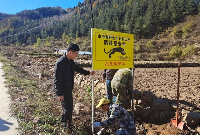 山西省五台山国有林管理局设立华北豹警示标牌