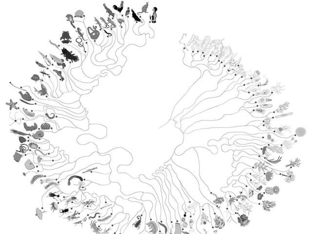 地球上是产生第一个单细胞生物更难，还是产生第一个多细胞生物更难图5