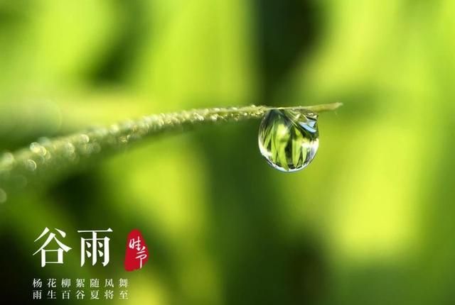 关于谷雨来历图5