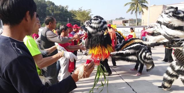 湛江民间习俗，非文化遗产游菩萨，值得传承