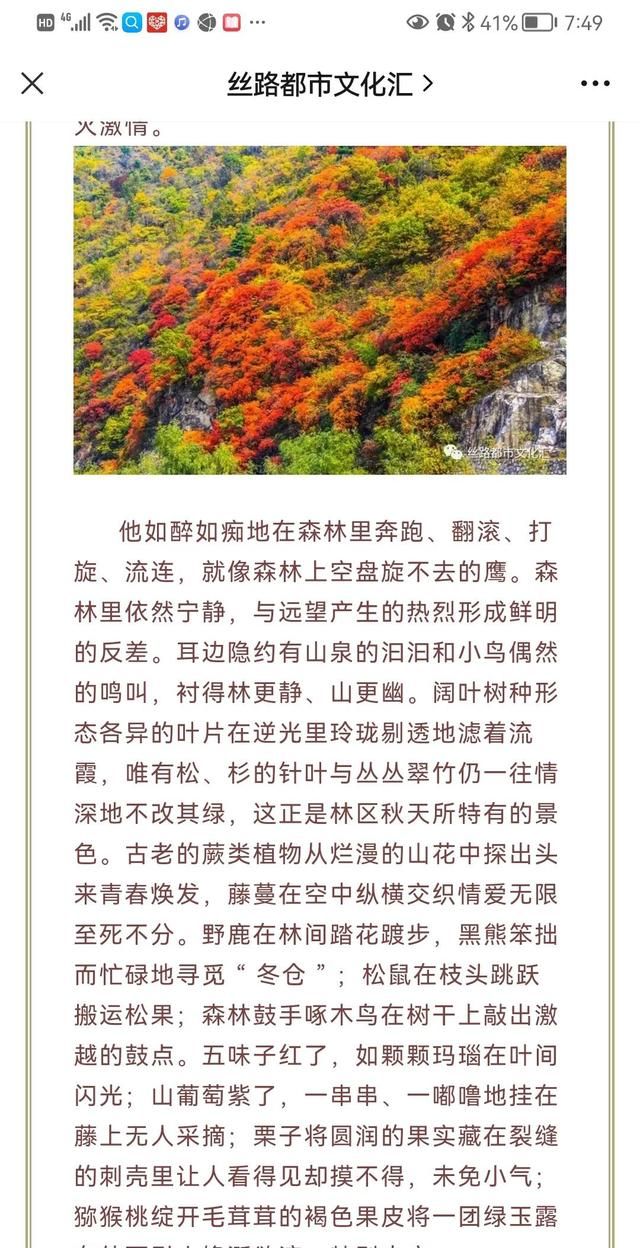 我和我爸妈的微信昵称