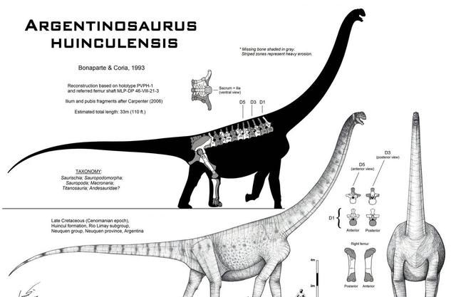 不是蜥蜴，也不是鳄鱼的庞大生物，到19世纪人们才发现它曾存在过