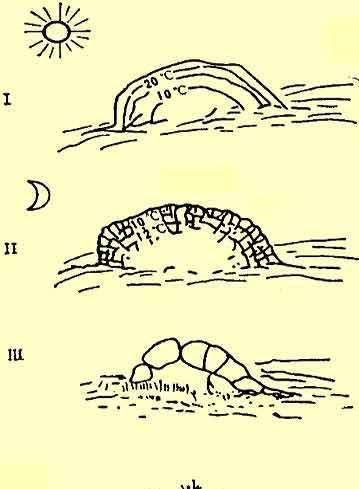 南方一年气温都在零度以上的地方，山体表层岩石风化的原因是什么图2