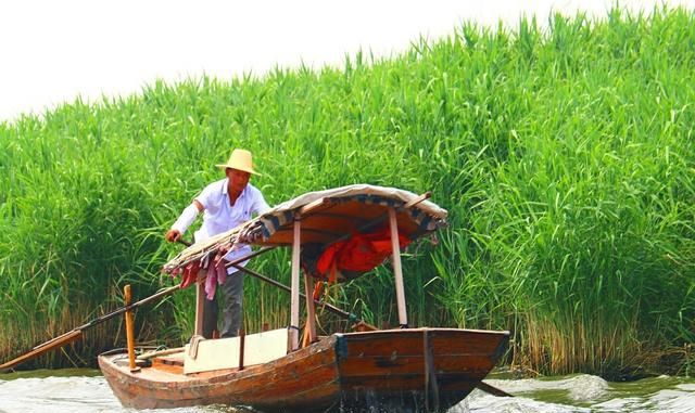 由海而湖，由湖而陆——白洋淀的由来