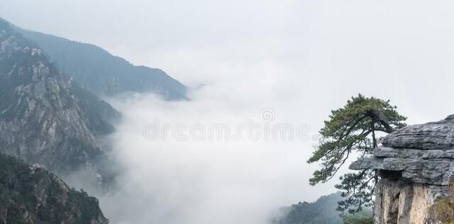 专家评出的“中华10大名山”，五岳入选2个，混入一个奇怪的山