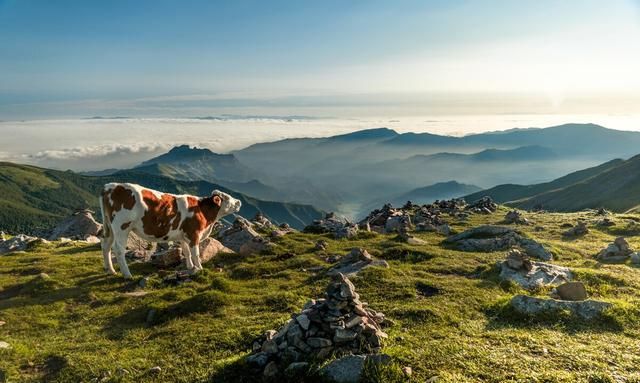 专家评出的“中华10大名山”，五岳入选2个，混入一个奇怪的山