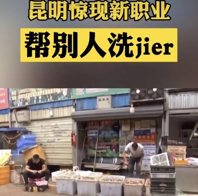 昆明一办公室长野生菌，2.8亿网友围观！专家：有毒！别吃