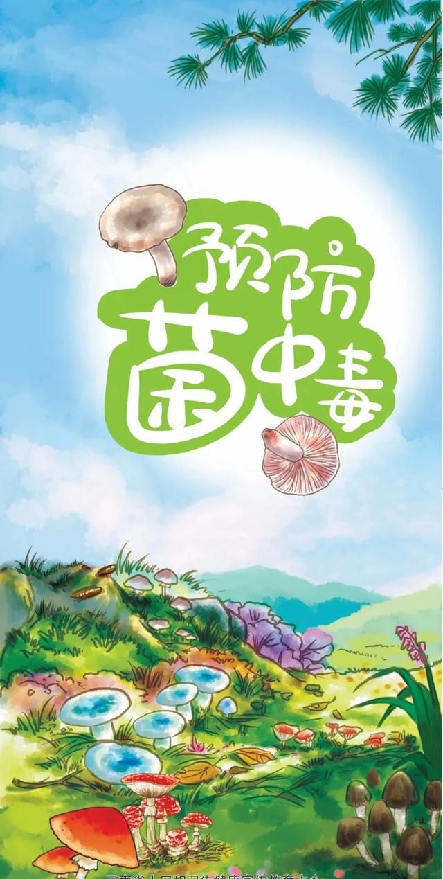 昆明一办公室长野生菌，2.8亿网友围观！专家：有毒！别吃