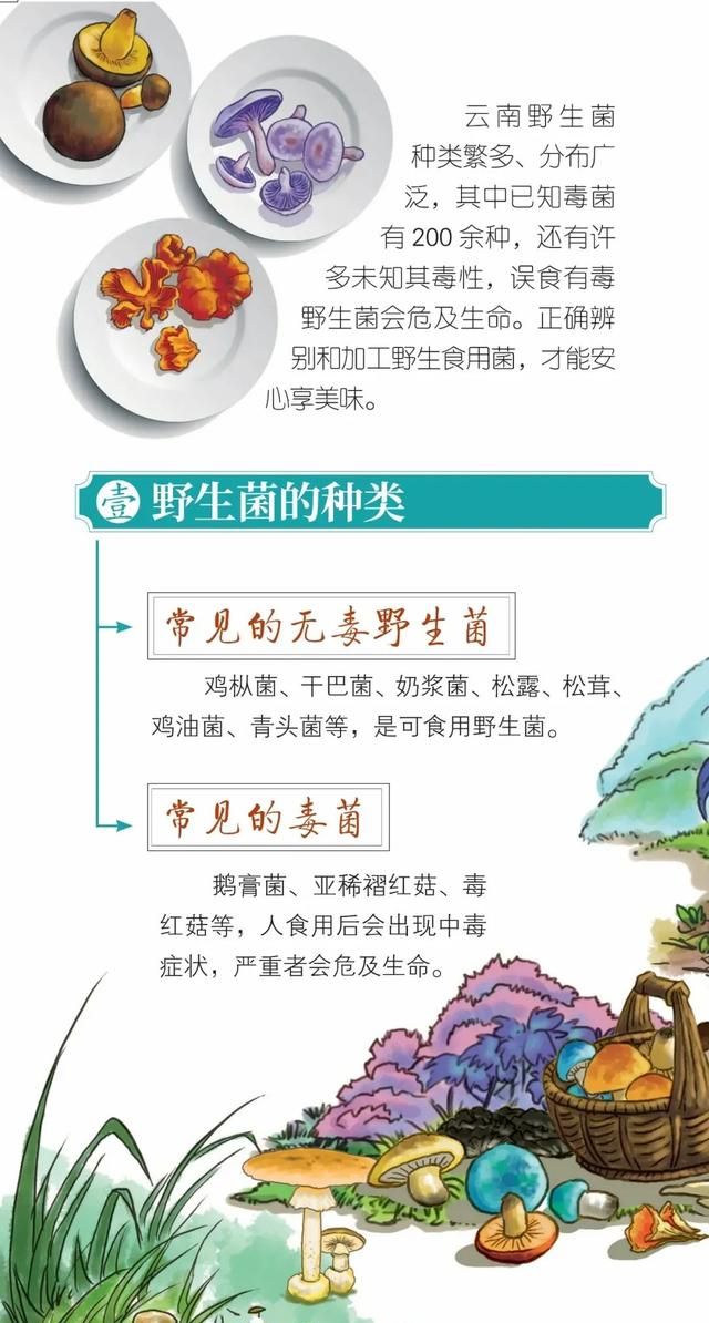 昆明一办公室长野生菌，2.8亿网友围观！专家：有毒！别吃