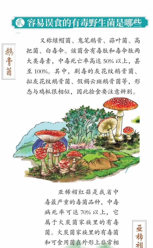 昆明一办公室长野生菌，2.8亿网友围观！专家：有毒！别吃