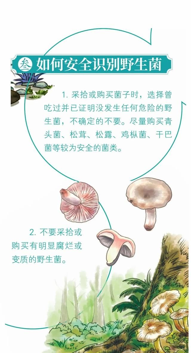 昆明一办公室长野生菌，2.8亿网友围观！专家：有毒！别吃