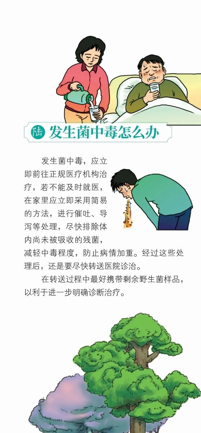 昆明一办公室长野生菌，2.8亿网友围观！专家：有毒！别吃