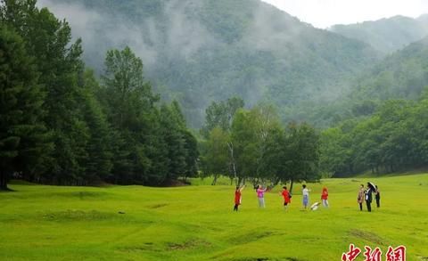 四季美景、地道美食 人这一辈子，一定要去一趟伊春