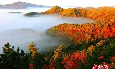 四季美景、地道美食 人这一辈子，一定要去一趟伊春