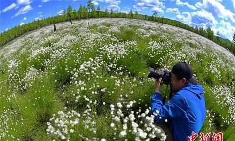 四季美景、地道美食 人这一辈子，一定要去一趟伊春