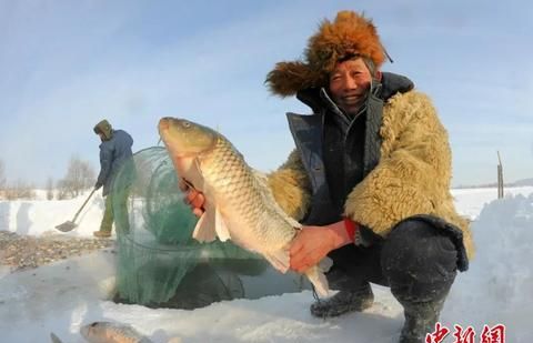 四季美景、地道美食 人这一辈子，一定要去一趟伊春