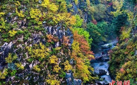 四季美景、地道美食 人这一辈子，一定要去一趟伊春