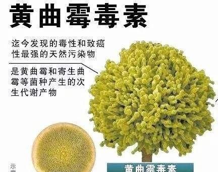 10款花生油测试：非转基因是噱头，不推荐鹰唛、西王