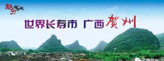 「“东融1+1”新媒体报道之十八」贺州豆杯在香港一斤能卖80元港币！