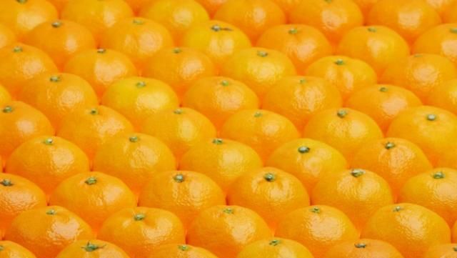 桔子和橘子有何区别图1