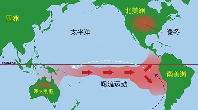 秘鲁鳀鱼：“鱼粉大王”与中国市场的“博弈”