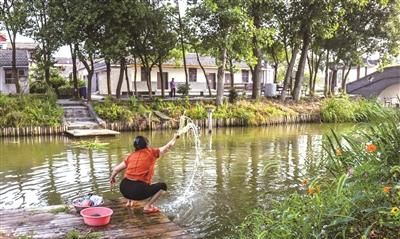 湿地风光催熟“田园经济”