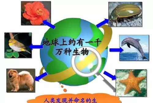 为什么地球上有这么多种生物，但不同的生物都有很多共同的特点，这是为什么图2