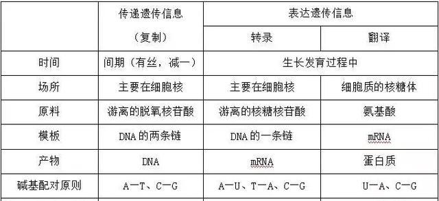 高中生物遗传与进化知识点归纳整理，暑假预习/复习必备