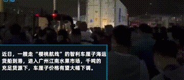 市场迎来降价潮，多种水果无人问，车厘子20一斤遭疯抢，咋回事？