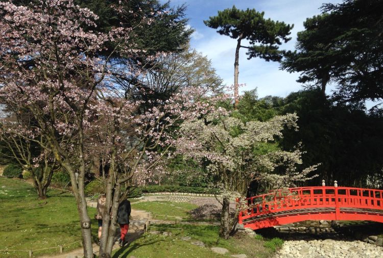 广州花都东南亚风景区(广州花都巴黎国际广场)图3