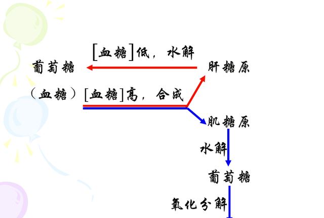 高中生物知识点---有机化合物和无机化合物，生物老师领大家梳理