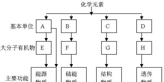 高中生物知识点---有机化合物和无机化合物，生物老师领大家梳理