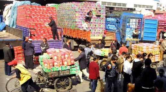 水果怎么样进入水果批发市场,从哪里可以搞水果批发图2