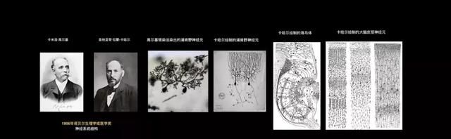 在直径0.00001米的神经元上，追踪一个念头的诞生