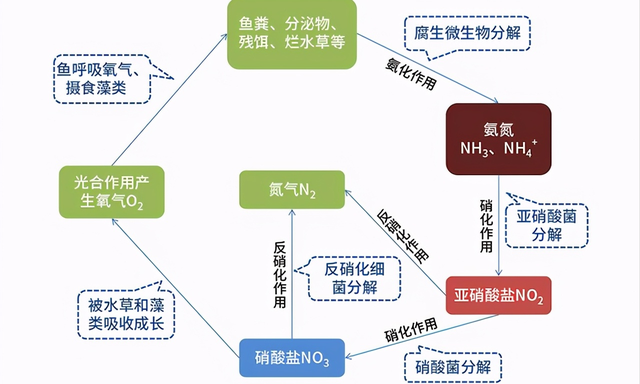 亚甲基蓝到底是什么？为什么治病大多选它？真的选对了吗？